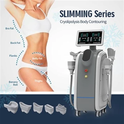 Cryo Fat Reduction Machine Kína